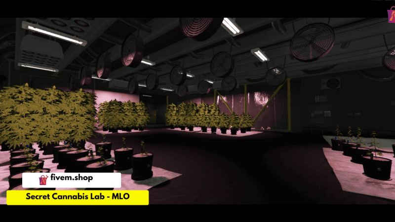 FiveM Secret Cannabis Lab MLO